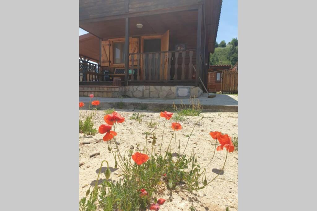 Cabana De Madera Especial Y Acogedora Cardenete Zewnętrze zdjęcie